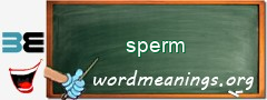 WordMeaning blackboard for sperm